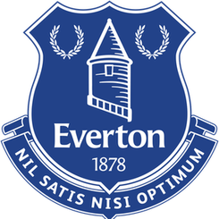 埃弗顿队旗