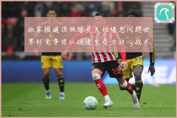 独家报道顶级球员关切倦怠问题世界杯竞争将以适者生存为核心战术观察：最新赛事动态与深度分析