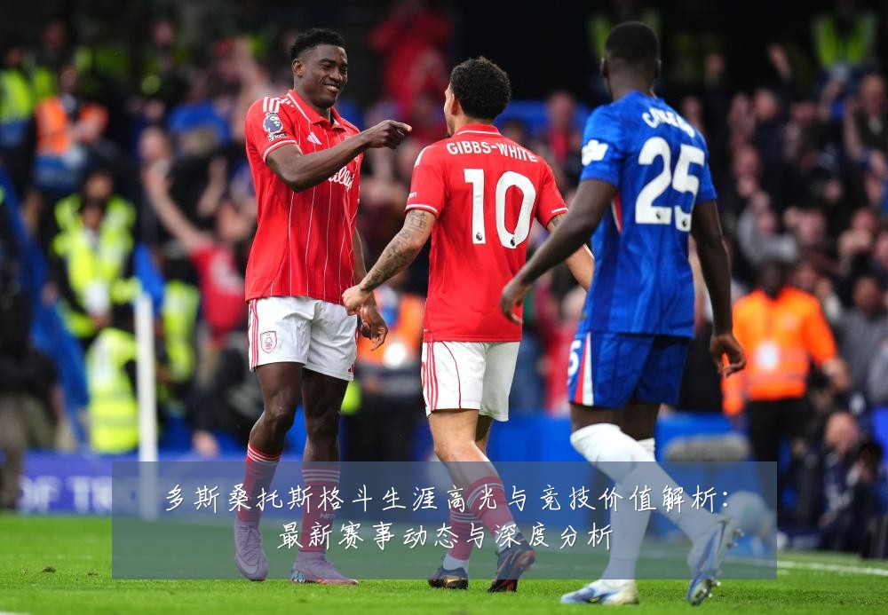 多斯桑托斯格斗生涯高光与竞技价值解析：最新赛事动态与深度分析
